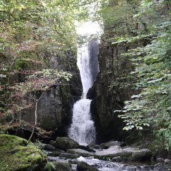 Guided Walk @ Stainforth (Salmon Run)