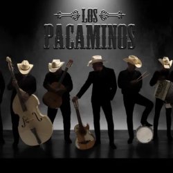 Los Pacaminos