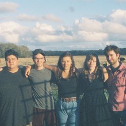 Five members of The Onlies stand arm in arm in a sunlit field with cows grazing behind them under a partly cloudy sky.