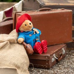 Paddington & The Owl & The Pussycat 2pm