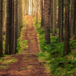 Retirement: Finding Your Path to Wholeness