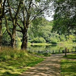 Hampstead Heath path, trees and water
