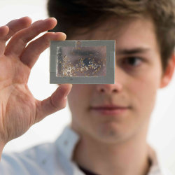 'VespAI: Applying Deep Learning to the detection of Invasive Hornets' with Thomas O' Shea-Wheller, hosted by the CBKA