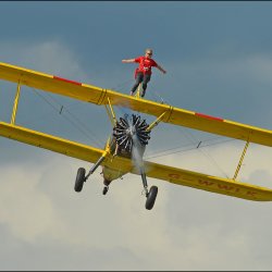Challengers Wing Walking Day 2026!