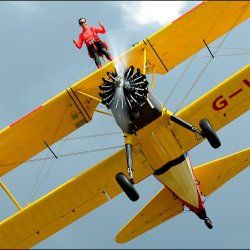 Rainbows Wing Walk 2026