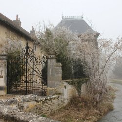 Addition by Reduction: A Reductive All-Blind Seminar & Tasting (aka Find the d’Auvenay)