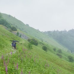 firefly Adventures Peak District Social Hike