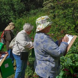 Drawn to Nature with Ali Edwards