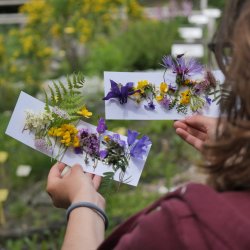 Piccoli esploratori del Giardino