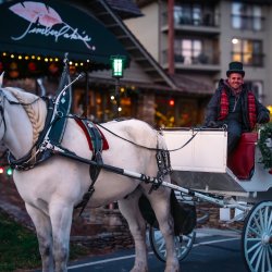 Carriage Rides at Chetola Resort