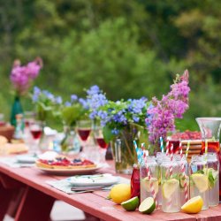 Burnham Dorney & Taplow Branch Summer Party BBQ