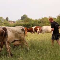 Transitioning Beyond Inputs in Agriculture