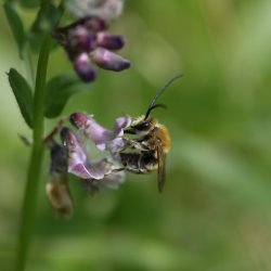 Biodiversity study day