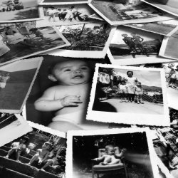 A pile of old photographs showing a family's history -- babies, a grandmother with grandchildren, a school photo, and a boy's sports team.