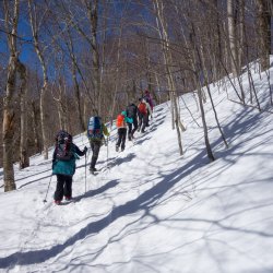 Introduction to Winter Hiking (In-Person)
