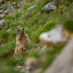 Trekking del Martedì - FAMILY IN NATURE