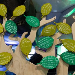 Lunch & Learn: Green Youth Initiatives