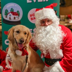 Golden Retriever Cafe Christmas - Milton Keynes