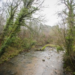 Brock Valley Amble