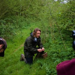 Group Foraging in the woodland