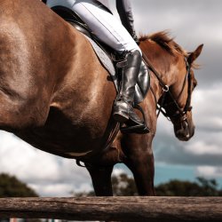 Yogi Breisner FBHS Course Walk at Burghley Horse Trials