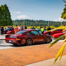 Northwest Exotics at Carillon Point