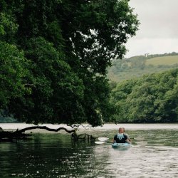 Creeks and Backwaters Kayak Tour