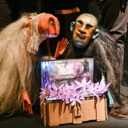 Bobo und der Safrankönig