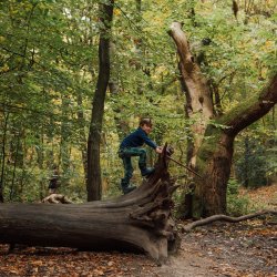 Boy climbing tree