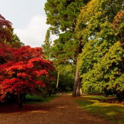 Tyler Grange X Stride Treglown X Freshwalks - ﻿The PDE Hike: Westonbirt, Didmarton & Leighterton