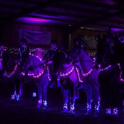 Riders on horses decorated with Christmas lights performing together in an indoor arena