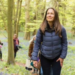 Summer's Embrace: Forest Bathing
