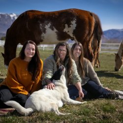 Three horses close together out in a green pasture with a view of the blue/cloudy sky and mountains in the background.