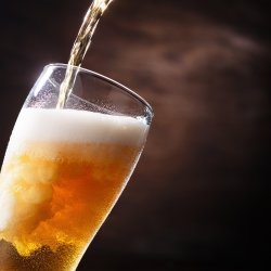 The 2027 Harrogate Charity Beer Festival