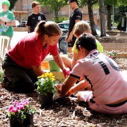 Volunteering around Devonport
