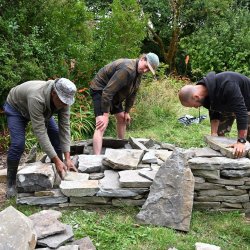 Community Training Day - Dry Stone Walling (CLDC)