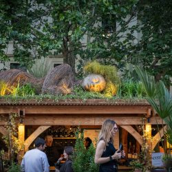 Lost Oasis guaranteed entry before 8pm. At the Kitchen: A Taste of Teal by Sally Abé.