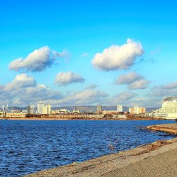 Wales Summer Social - Cardiff
