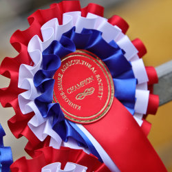Kinross Show 2026