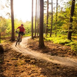 MTB träning