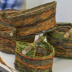 Willow Basketry Workshop