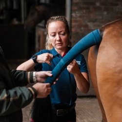 Stage 2 Care, Lunge & Ride
