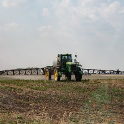 Forage Fertility: Unearthing a Profitable Portion of Nitrogen Stored in Soil
