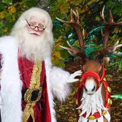 Festive Grotto at the Park