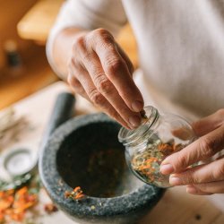 herbal medicine course