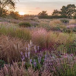 Private Visit to Fullers Mill Gardens