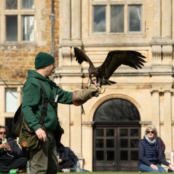 Falconry Gathering 2026