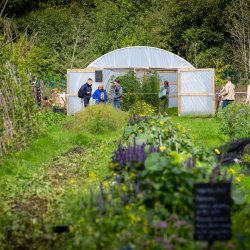 Polytunnel at Northern Roots