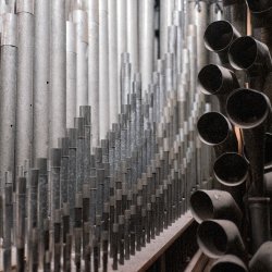Talks + Tours / Inside the Organ