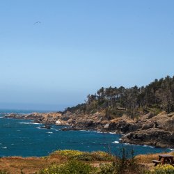 Ocean Cove Retreat - 2026